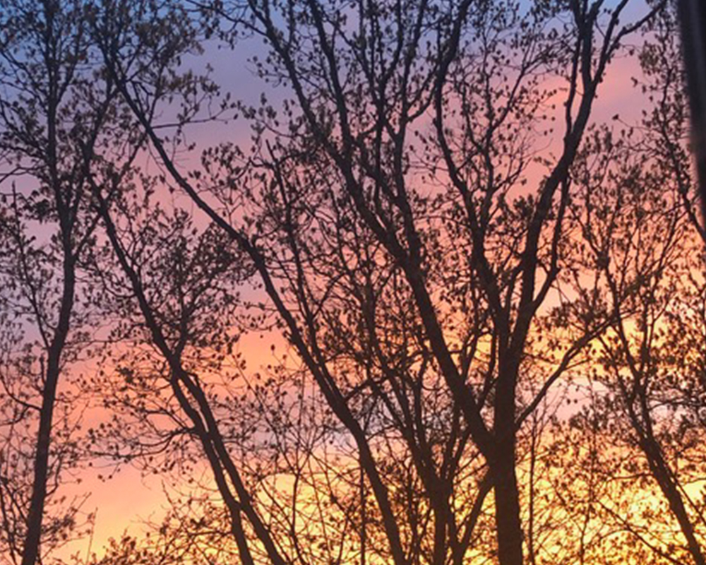 Featured photography by Prints By Peter